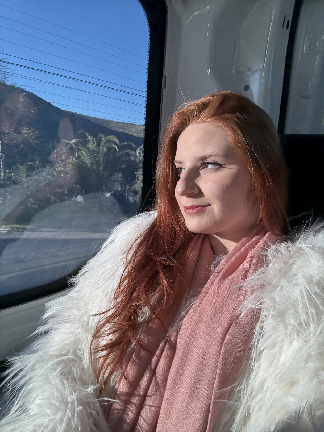 Ginger Fox