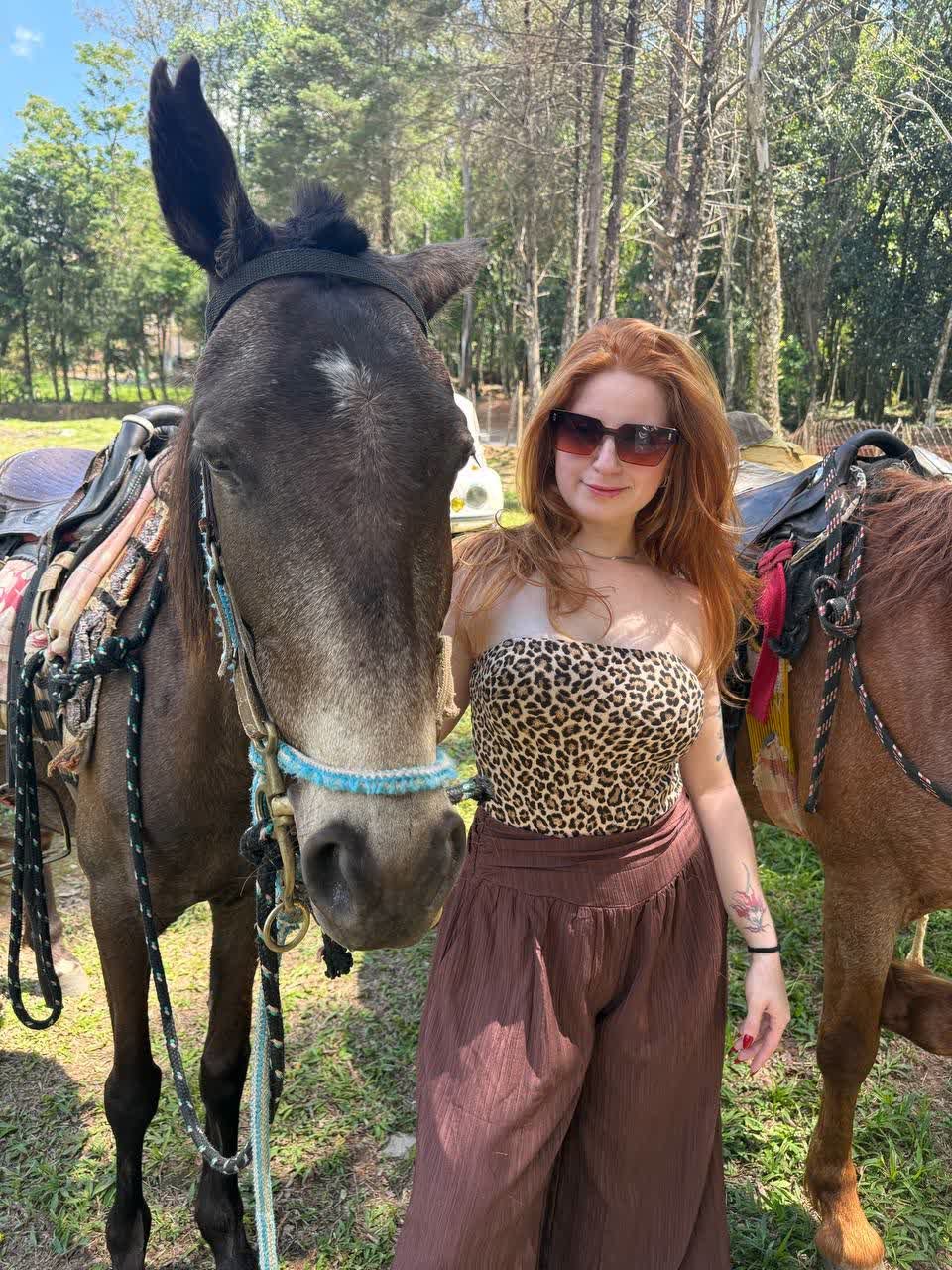 Ginger Fox